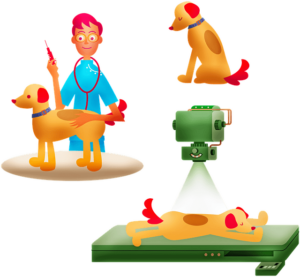 gioco veterinario bambini