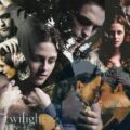 Twilight